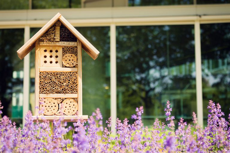 How to Make a Bee Hotel: A Guide to Building a Safe Haven for Bees