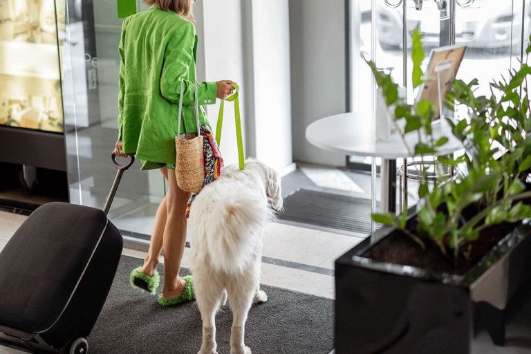 Can A Hotel Refuse A Service Dog?