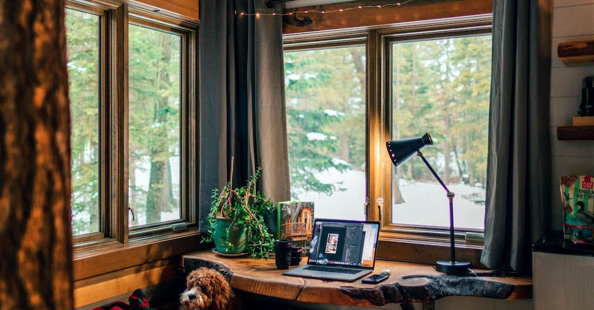 A Detailed Guide to Sneaking Your Dog Into a Hotel Room Hotel Chantelle