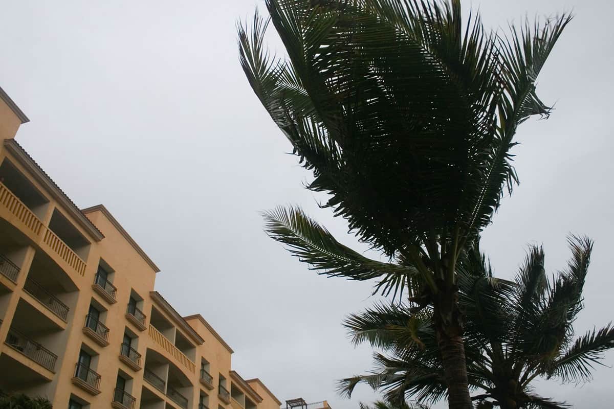 Can a Hotel Legally Evict You During a Hurricane? Hotel Chantelle
