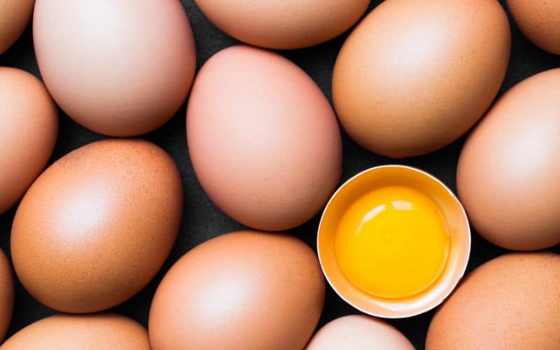 Chicken eggs and egg yolk 