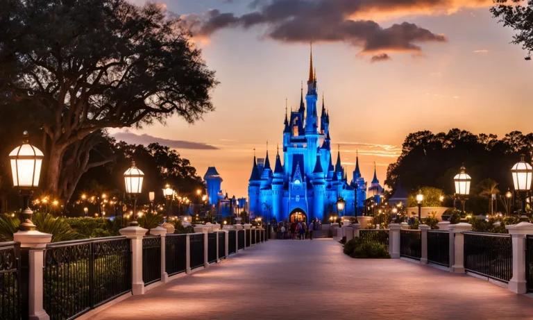 Which Hotel Has the Best View of Magic Kingdom? A Disney Expert’s Guide